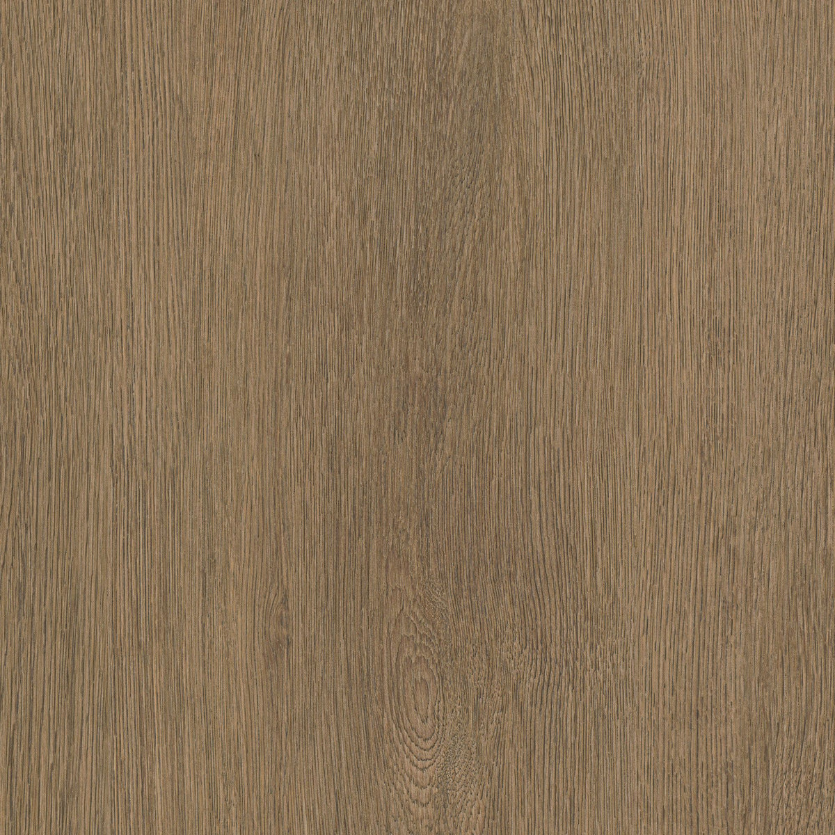 Cover Styl Miel Oak AA05
