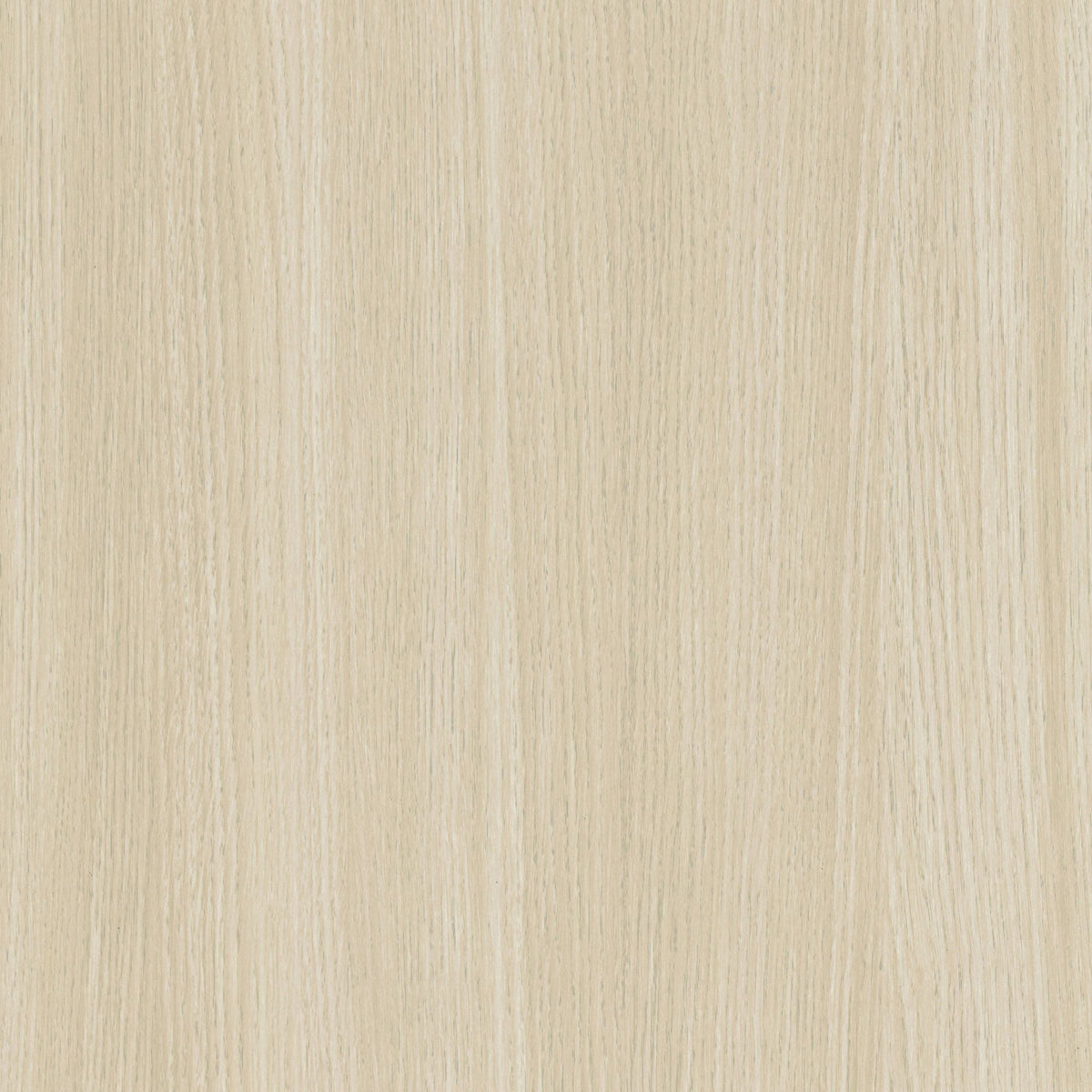 Cover Styl Macadamia Birch CT74