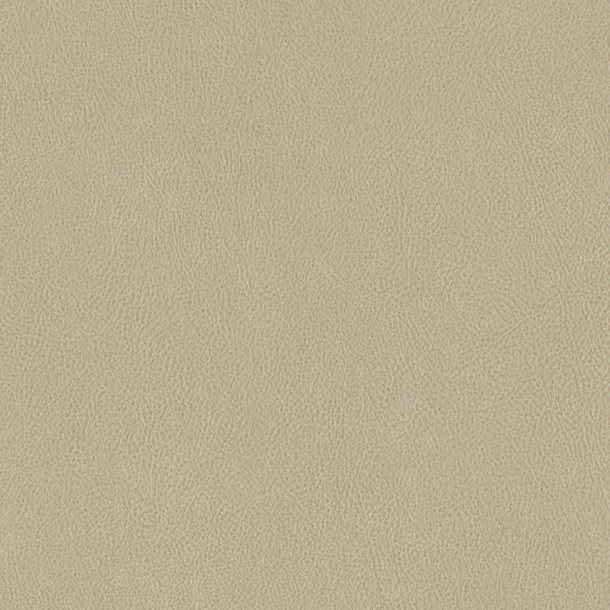 Cover Styl Tan NE42