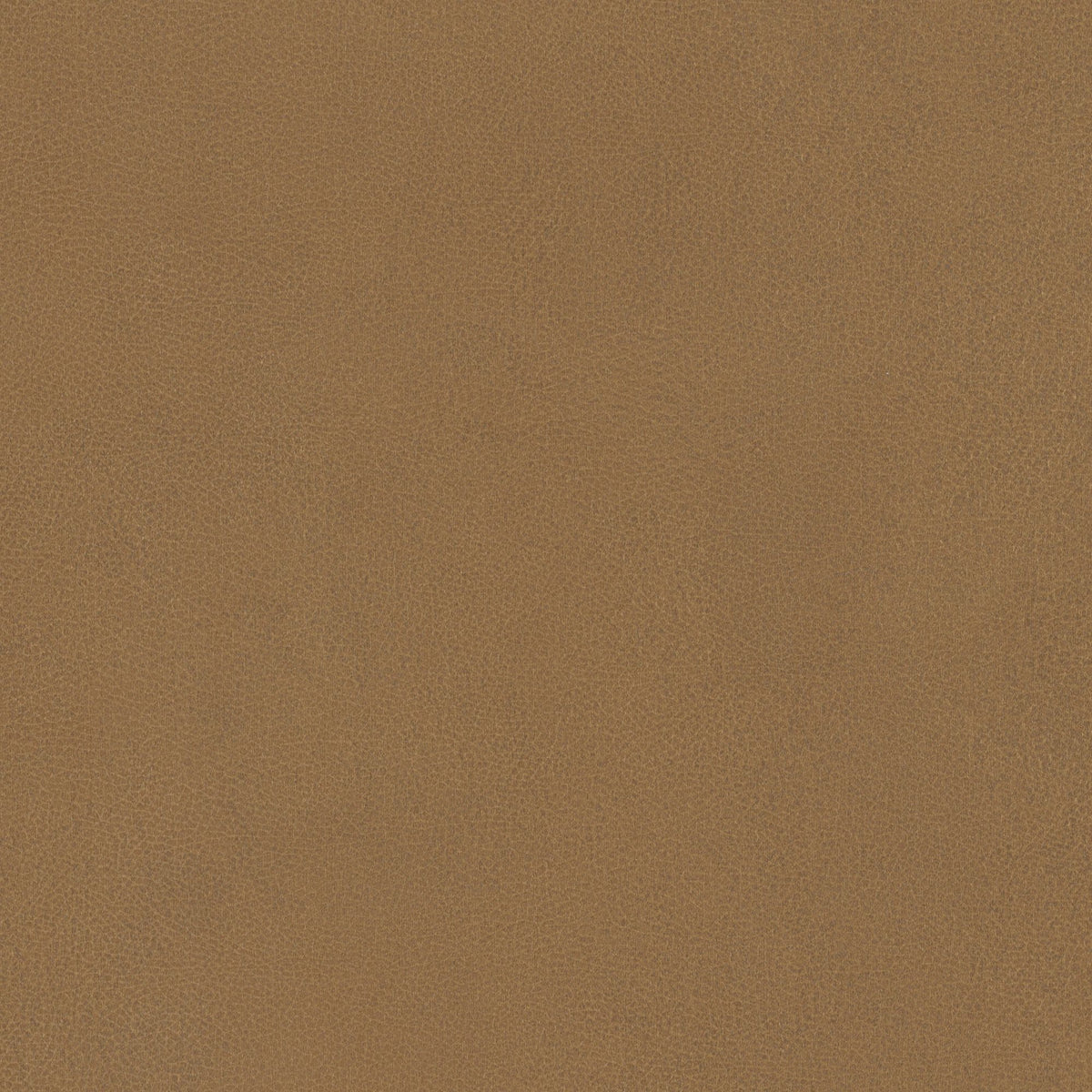 Cover Styl Camel NL20