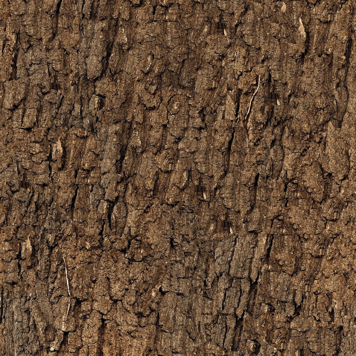 Cover Styl Bark NL43