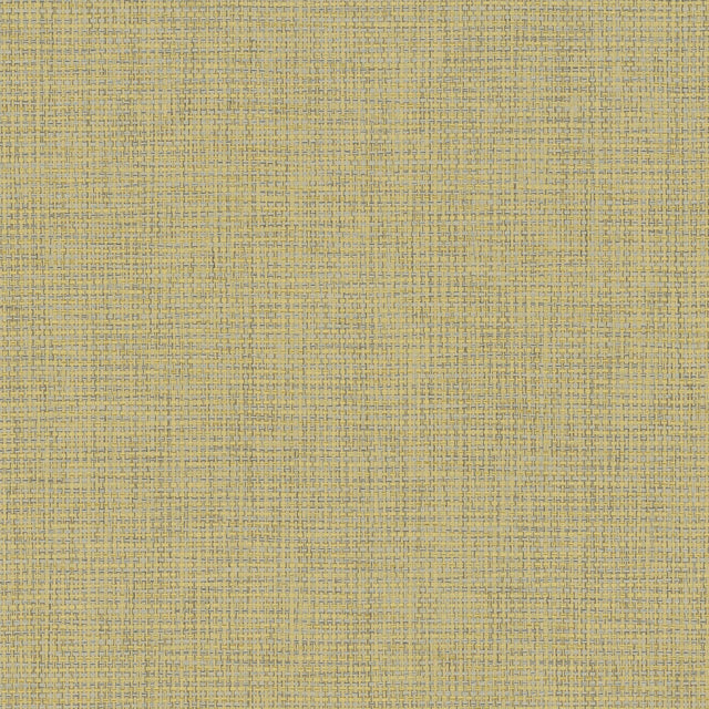 Textile Raffia