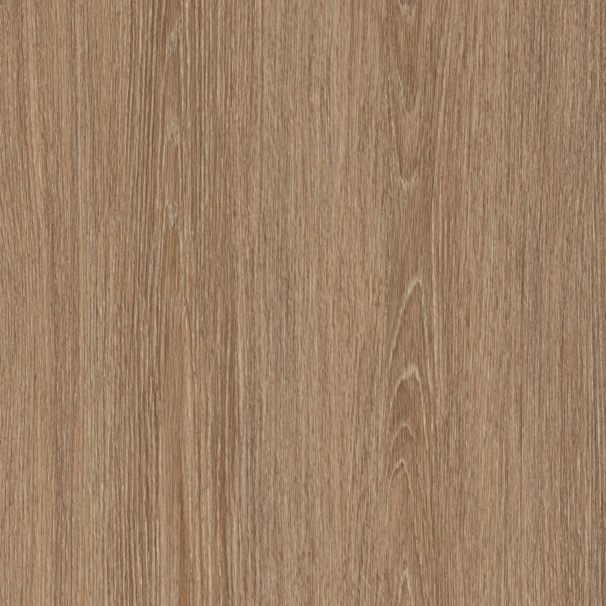 Heritage Oak - pf-b8
