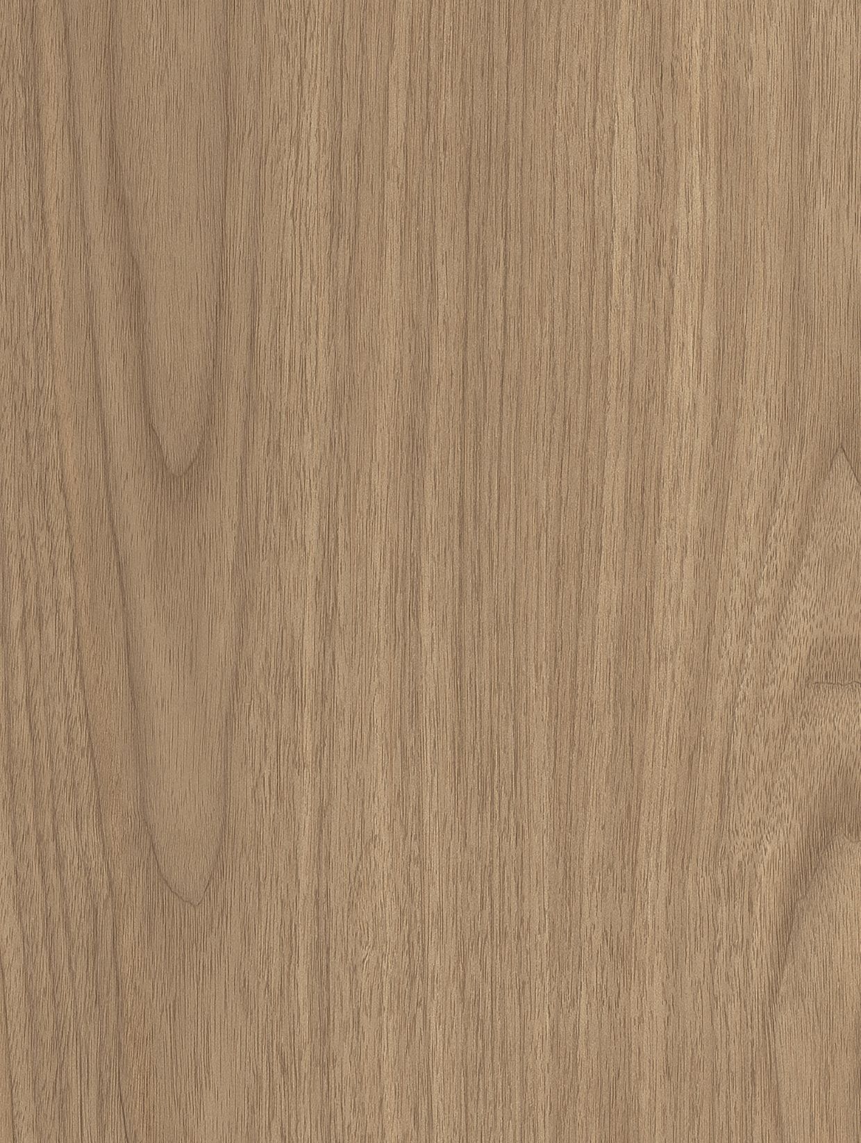 Holzdekor Medium - Foliendealer.com