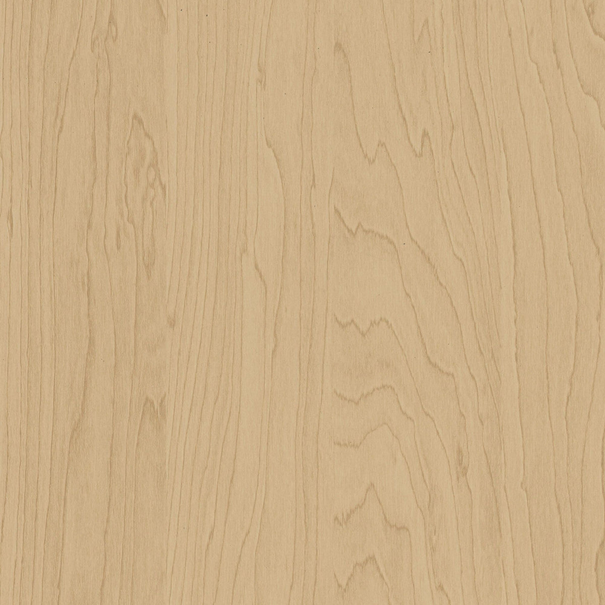 Cover Styl Gold Birch CT20