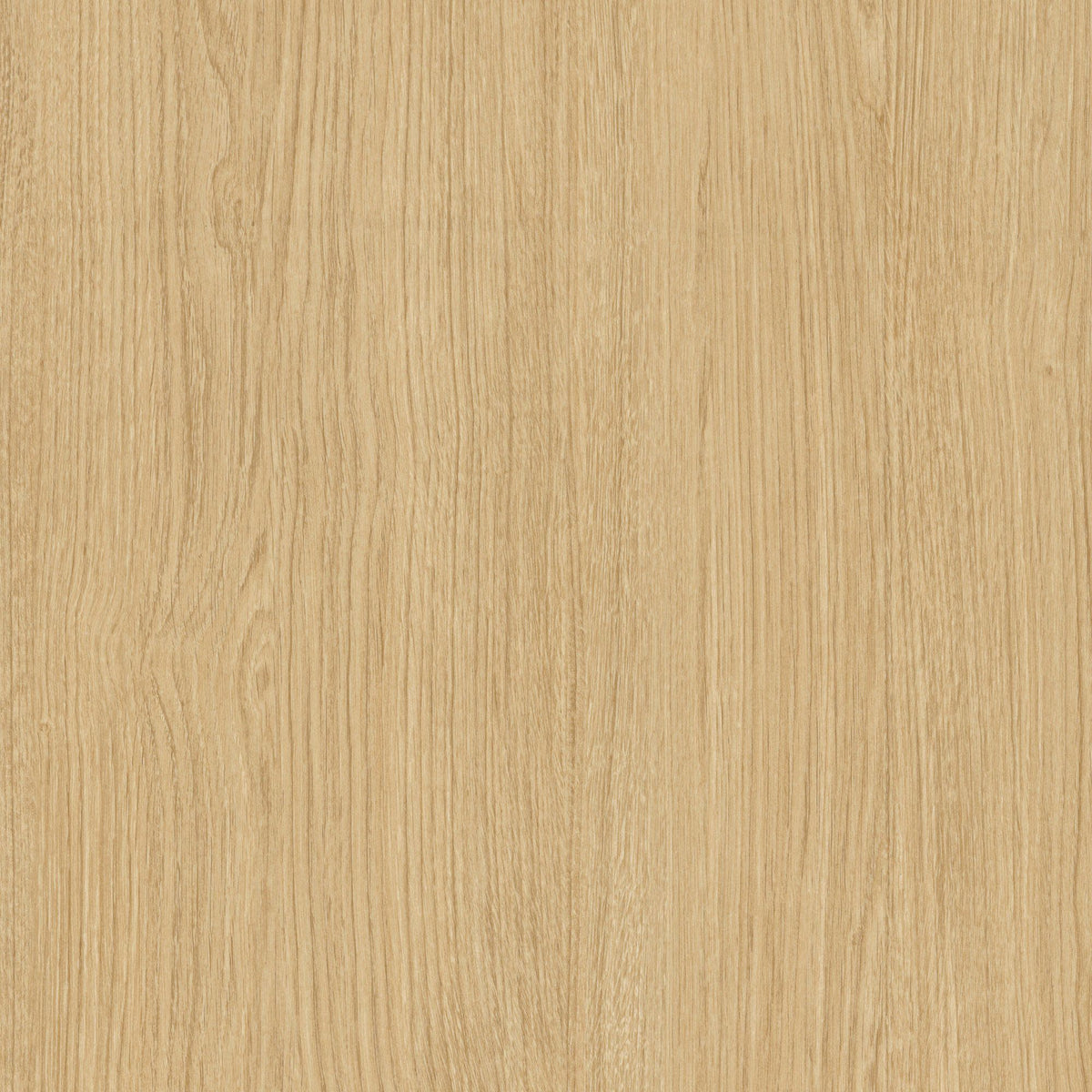Smooth Oak - hr-nf40