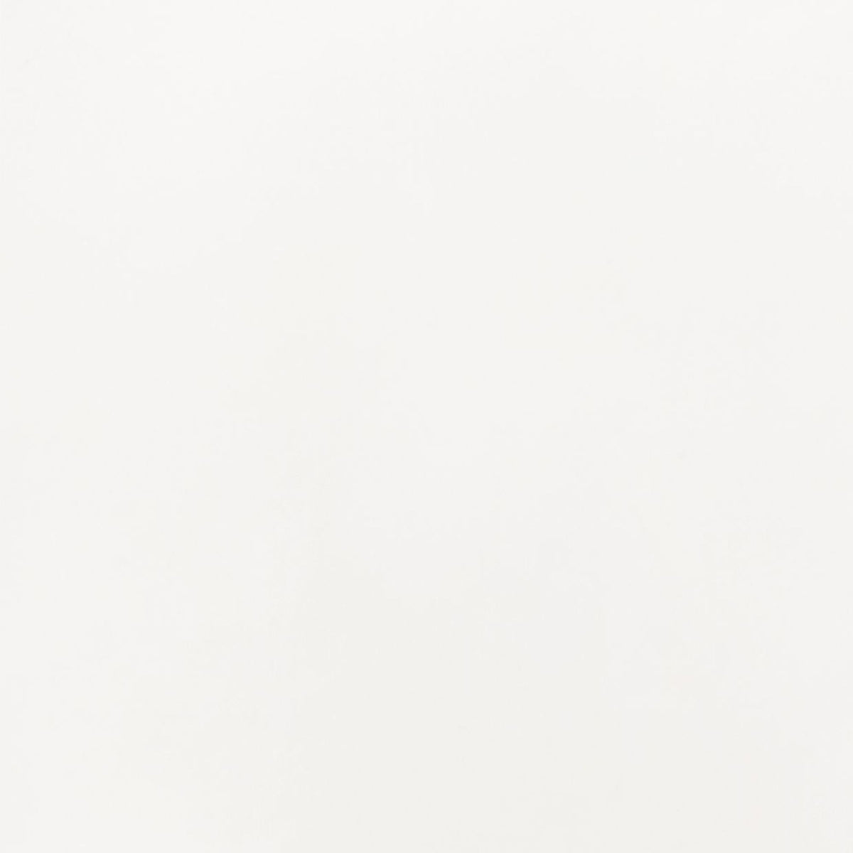 Lacquered White - j4