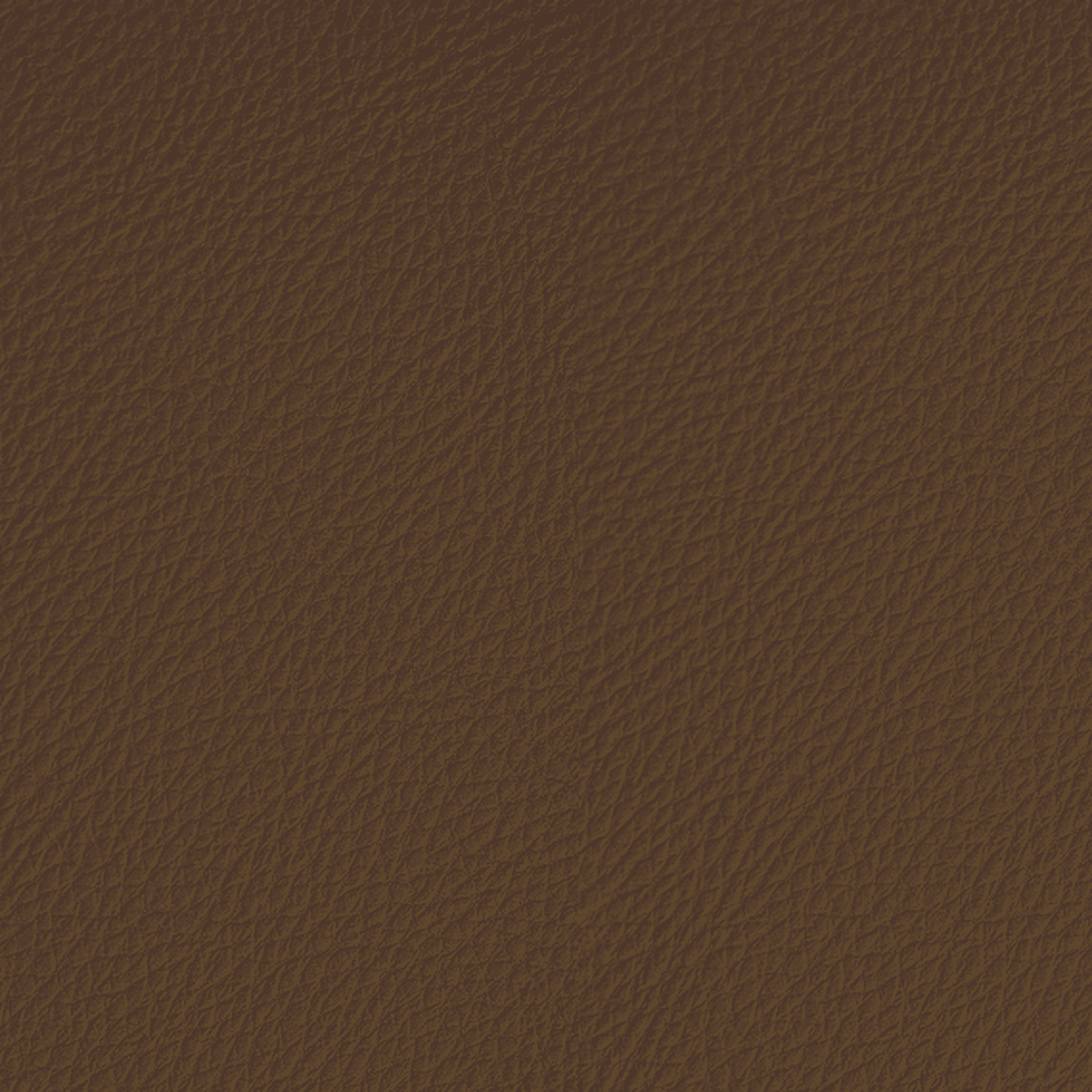 Cover Styl Cognac LP01