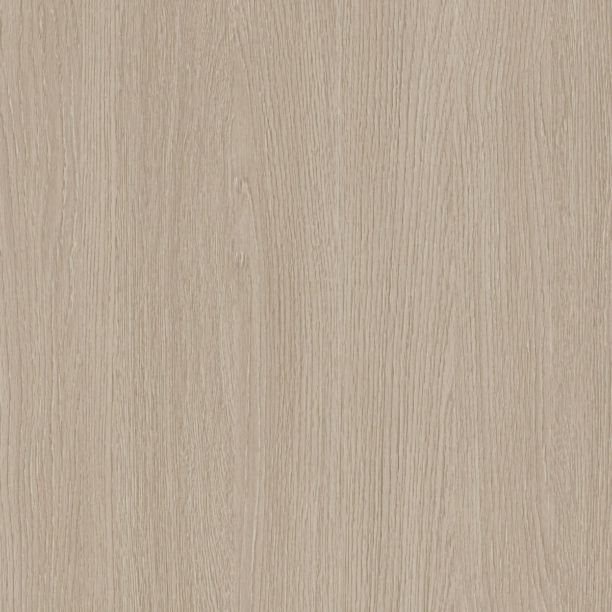 Cover Styl Desert Birch NF73
