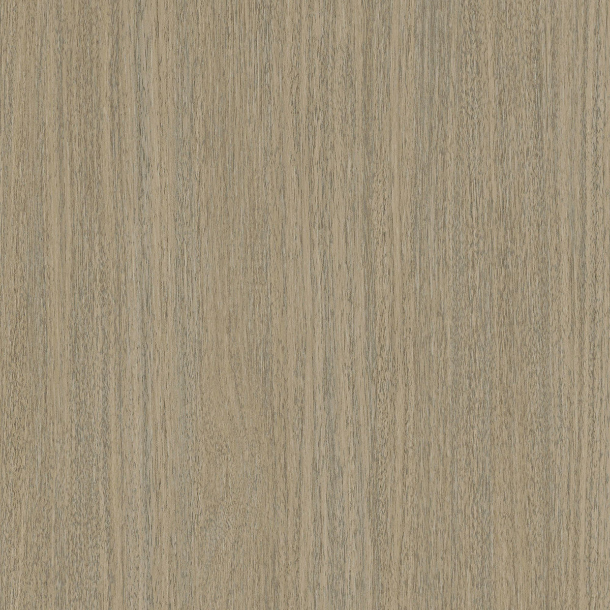 Cover Styl Camel Eucalyptus NH77