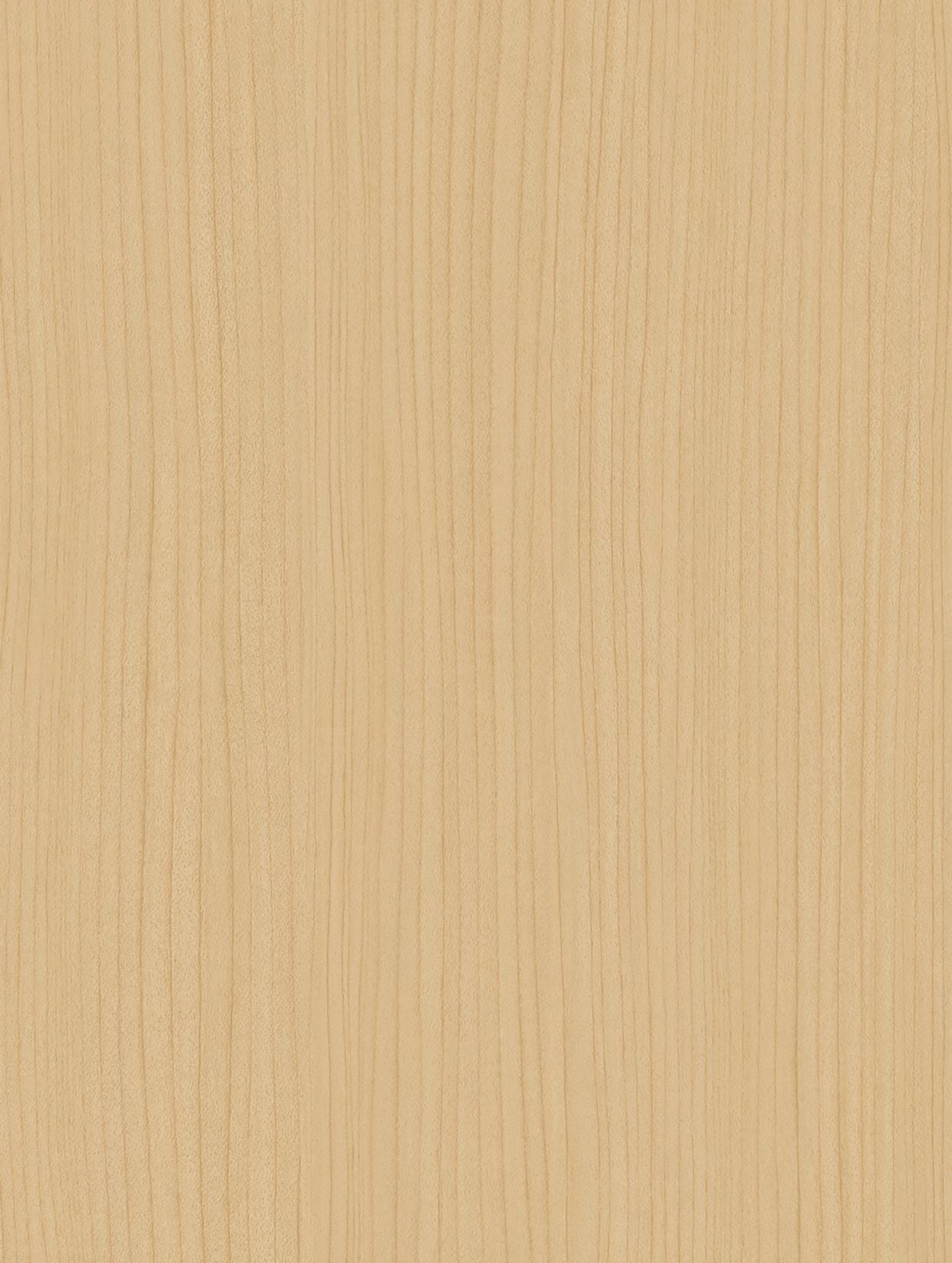 Holzdekor Hell - Foliendealer.com
