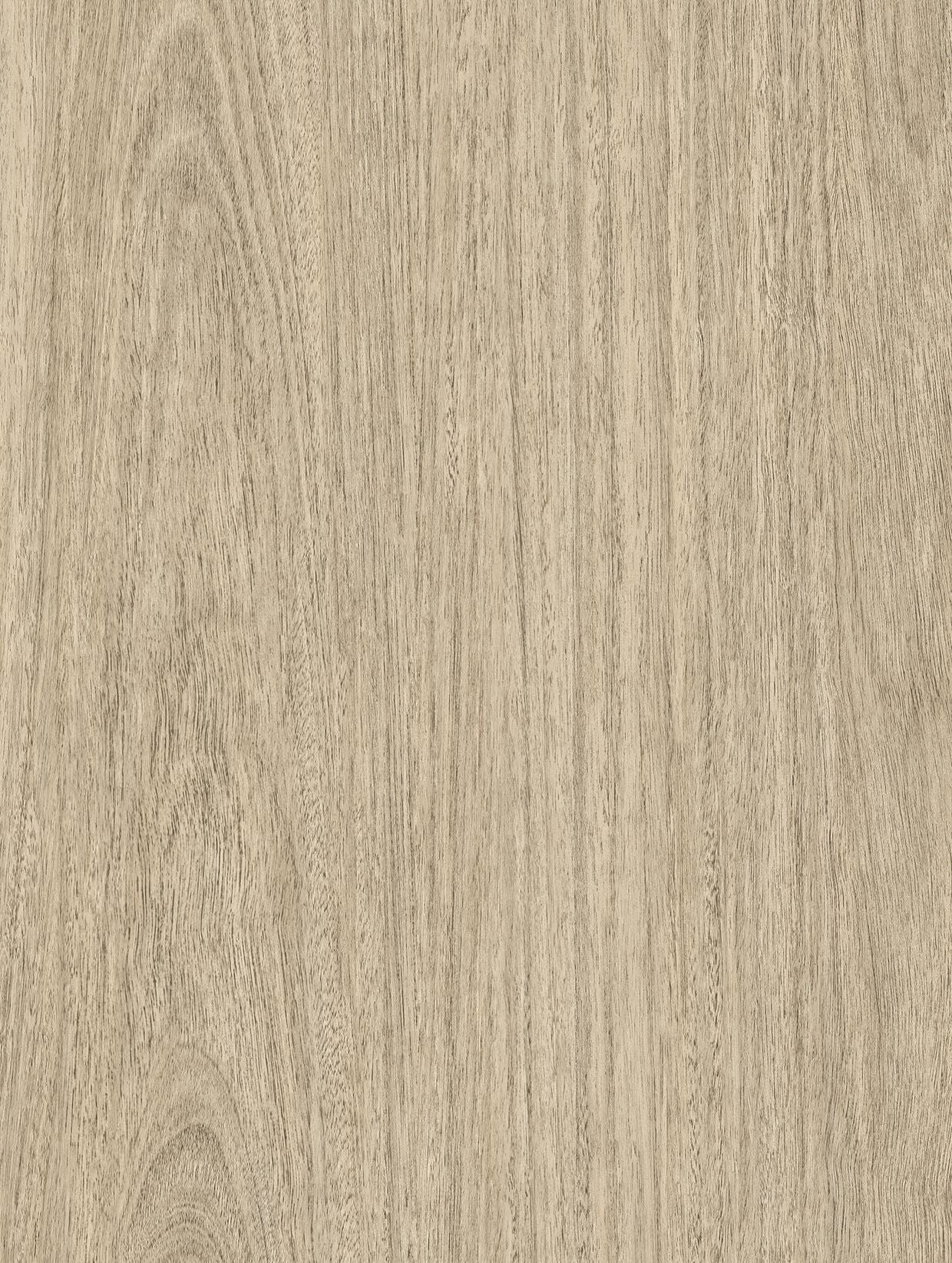 Holzdekor Hell - Foliendealer.com