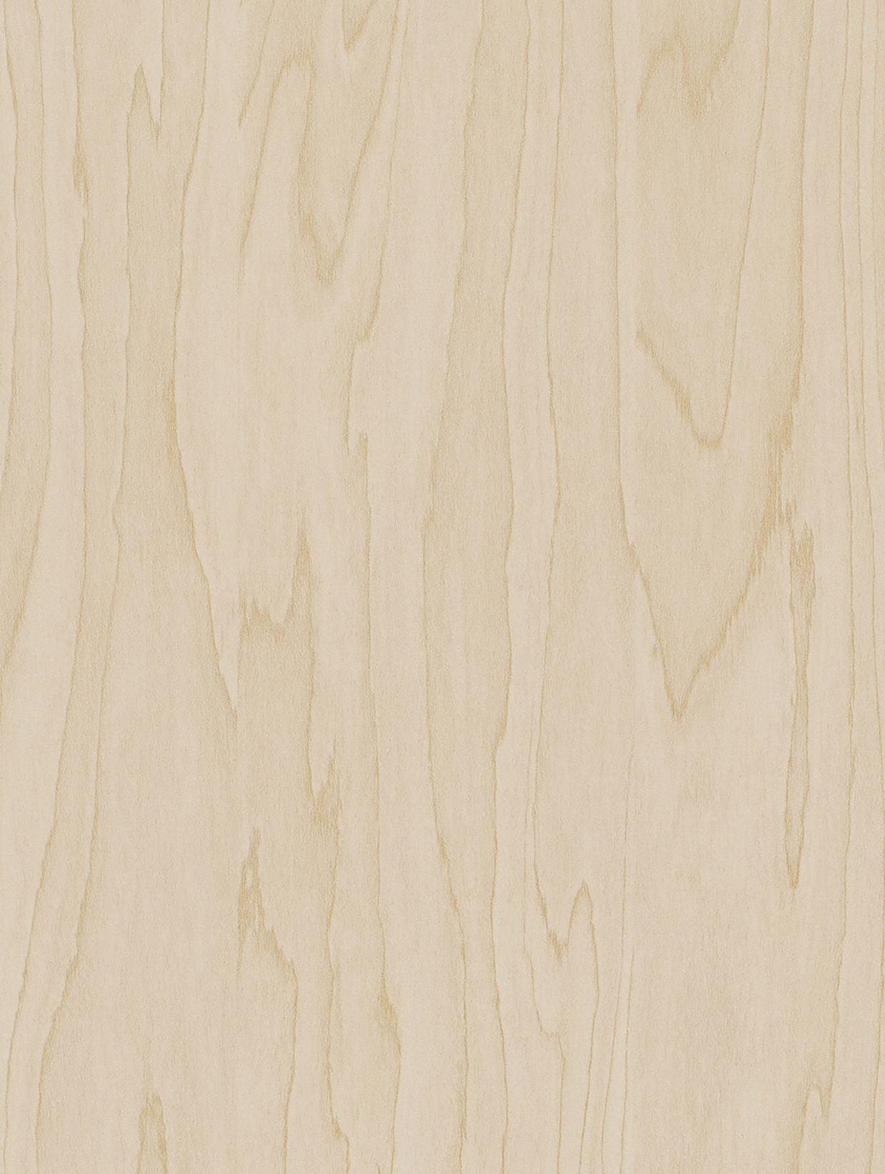 Holzdekor Hell - Foliendealer.com