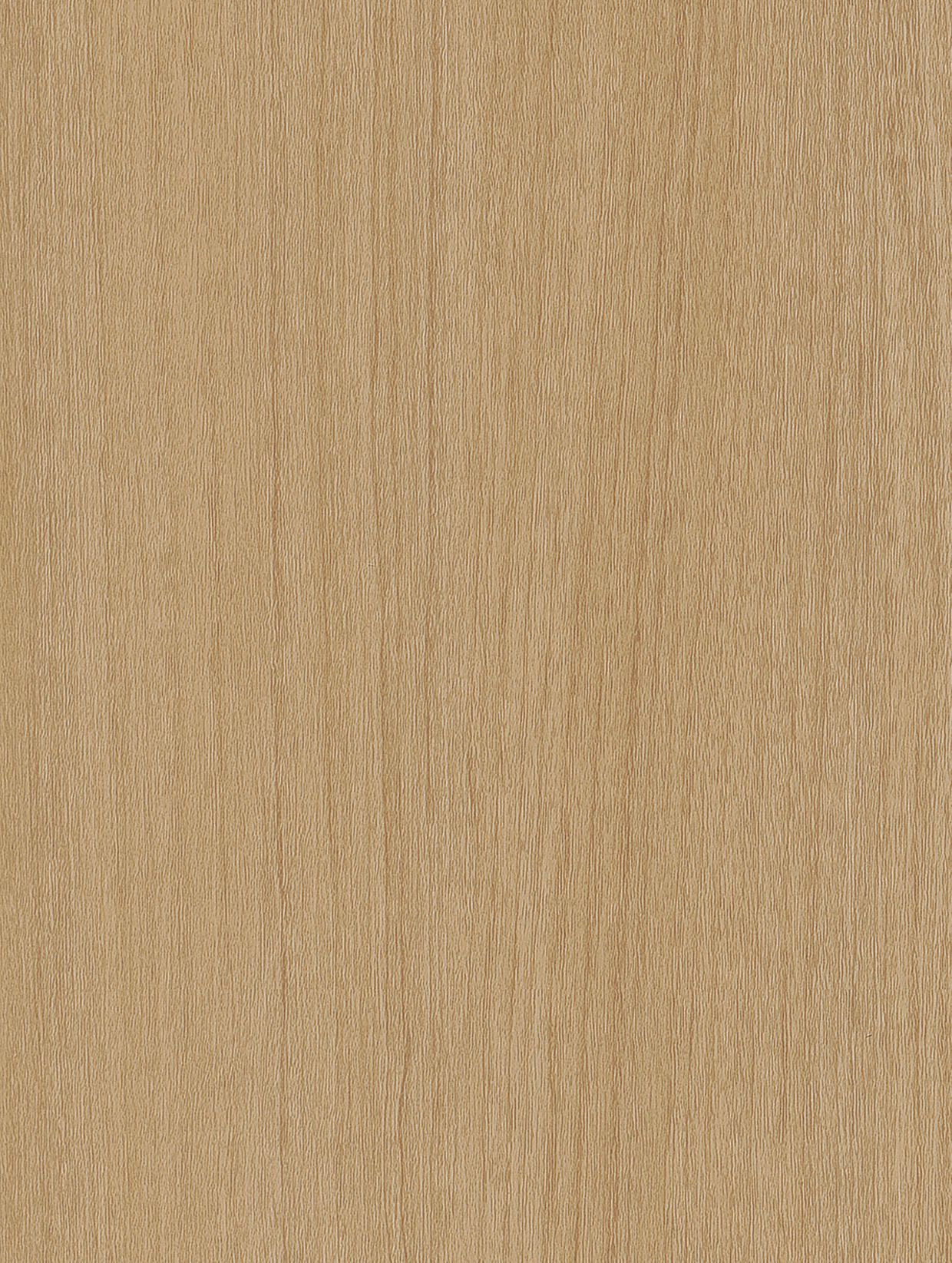 Holzdekor Hell - Foliendealer.com