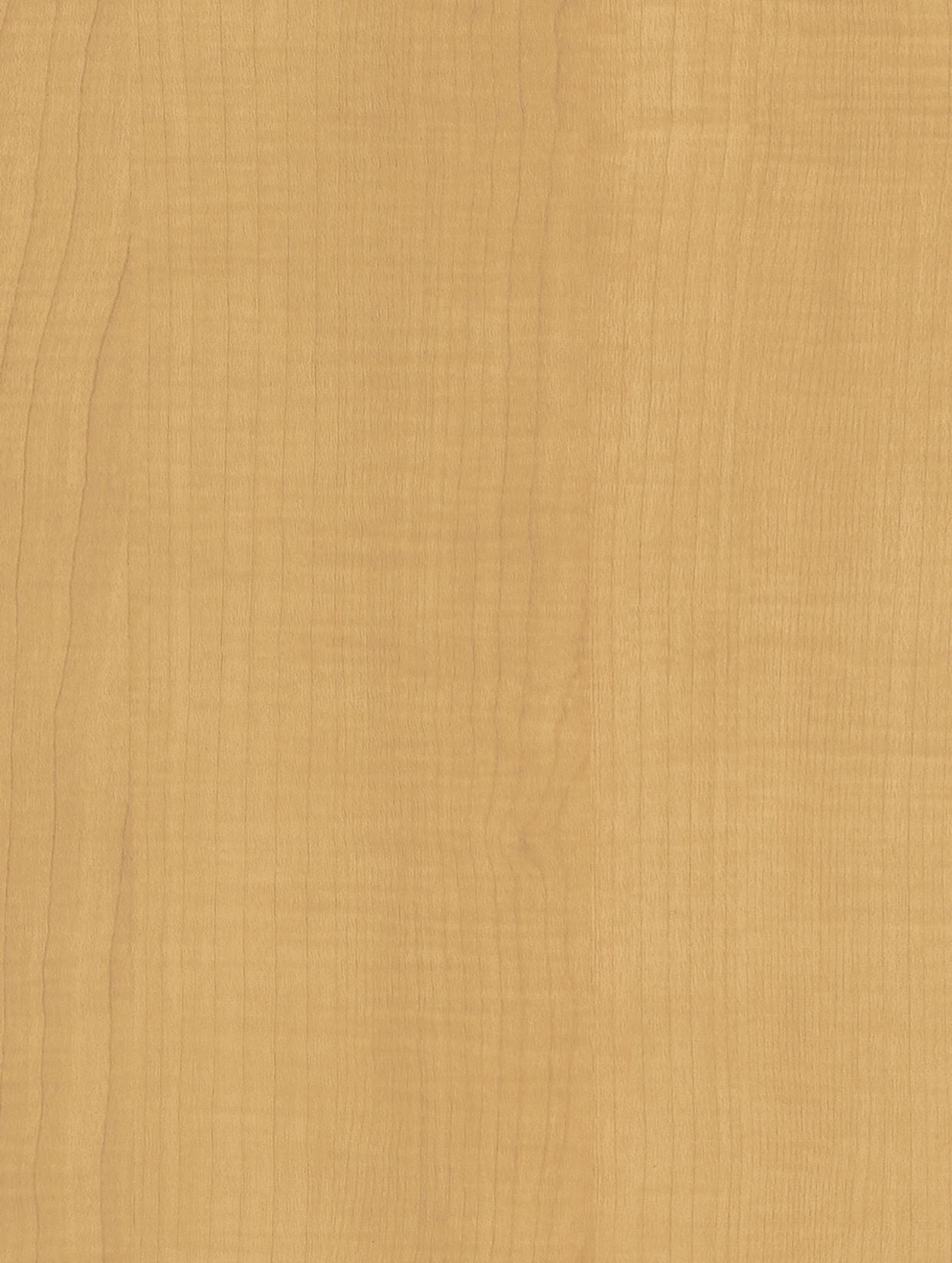 Holzdekor Hell - Foliendealer.com