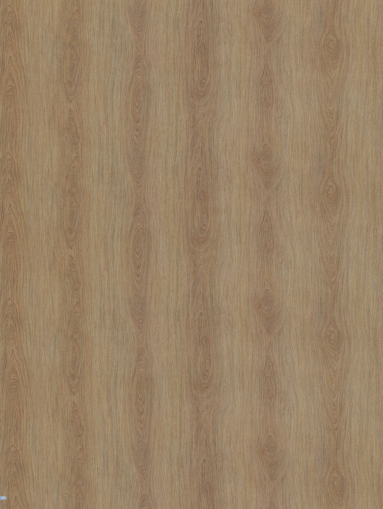 Holzdekor Hell - Foliendealer.com