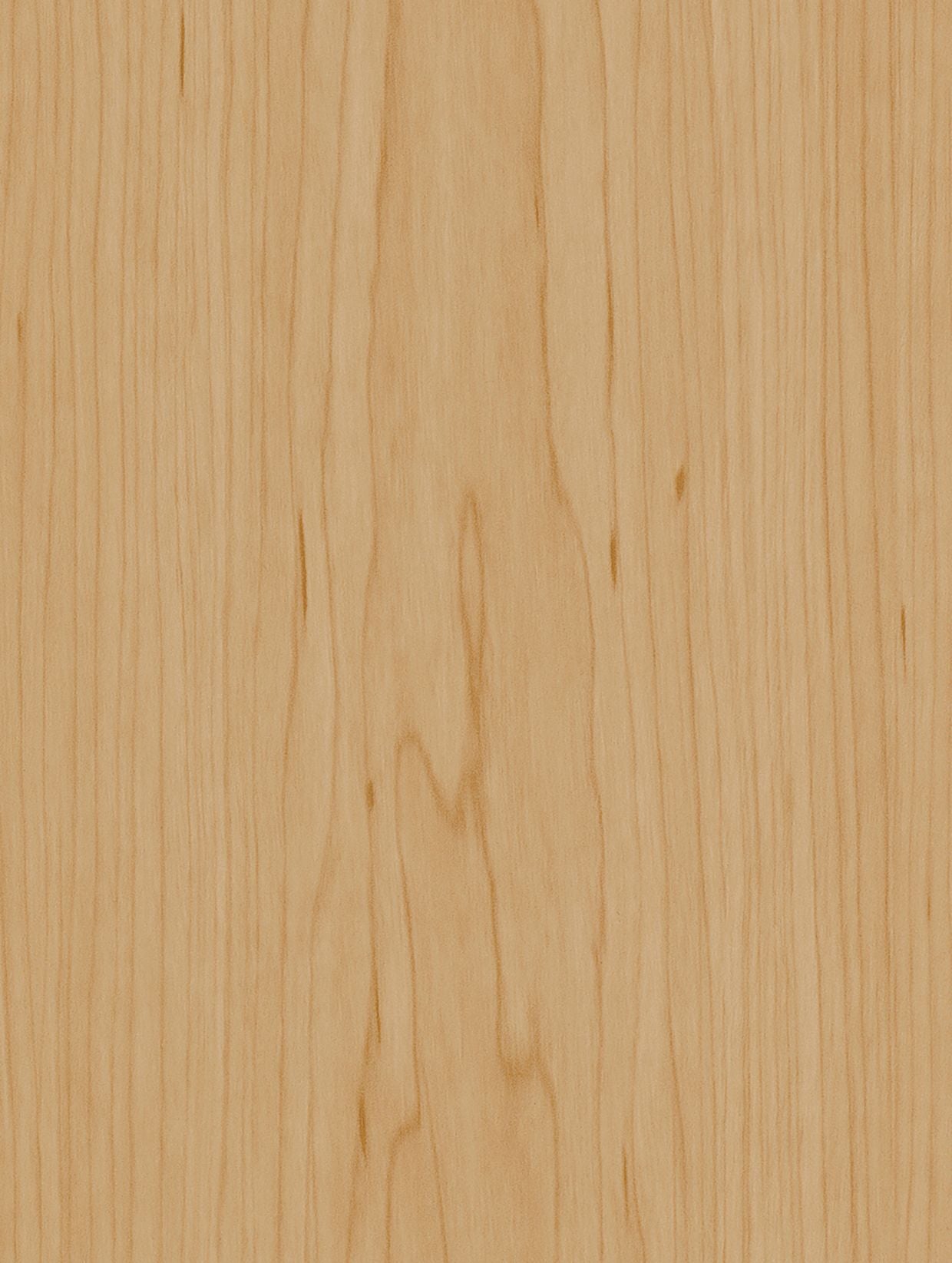 Holzdekor Hell - Foliendealer.com