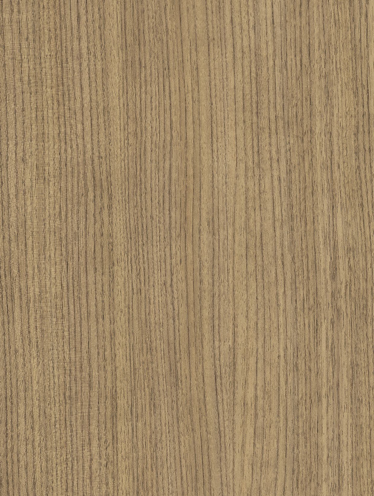Holzdekor Medium - Foliendealer.com